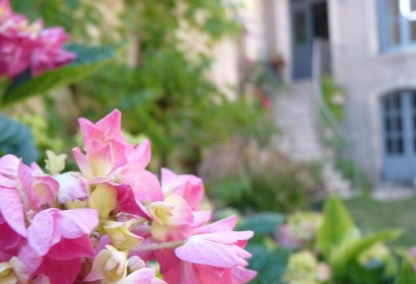 Pensionat Chambres D Hôtes Coté Halles