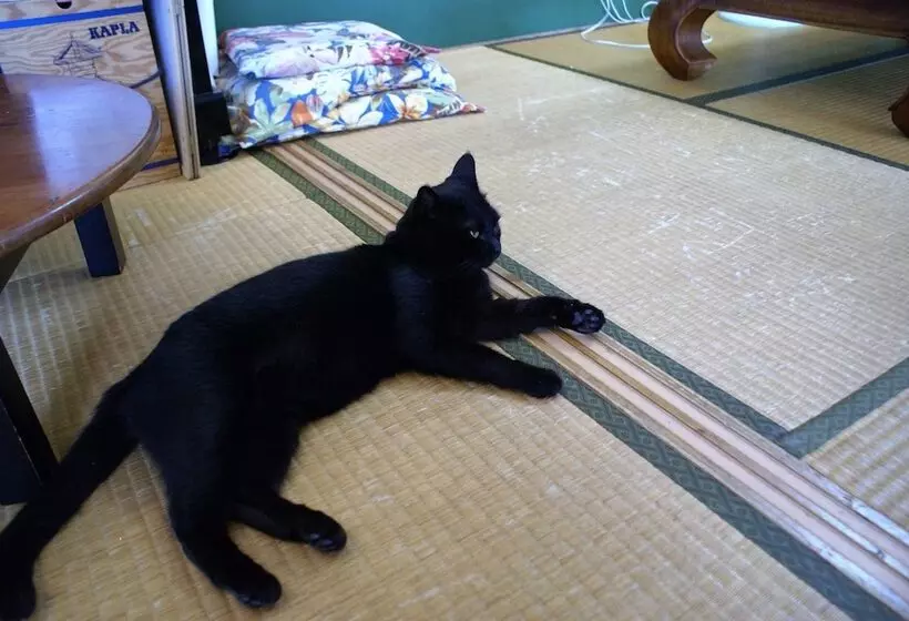 ペンション Guest House Agaihama