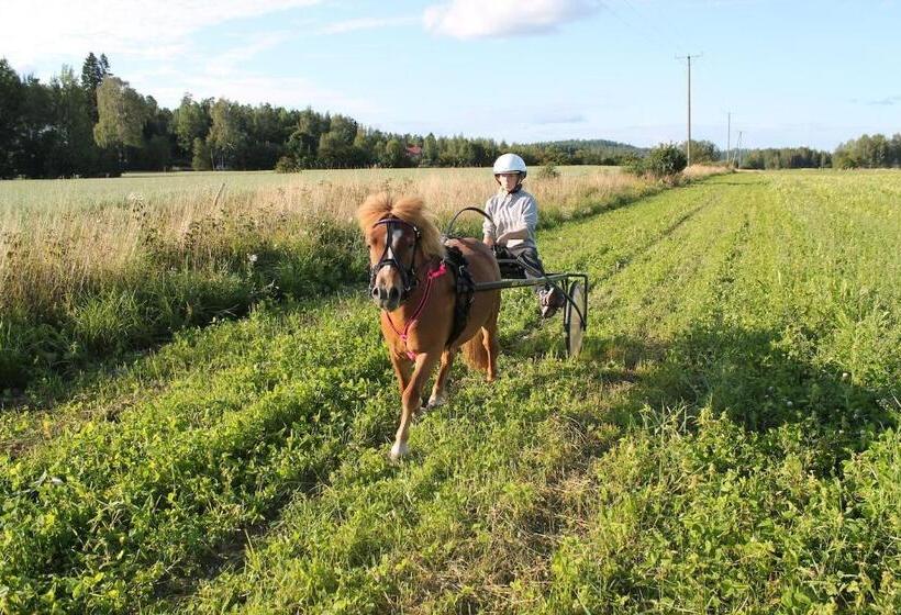 פנסיון Hostel Lomakivi