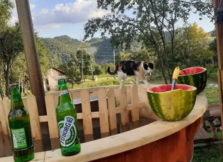 ペンション Retreat Sejour On Farmhouse ,roşia Montana, Acces Optional Hottube