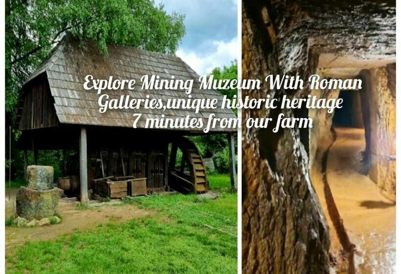 펜션 Retreat Sejour On Farmhouse ,roşia Montana, Acces Optional Hottube