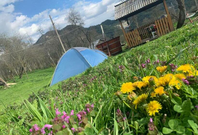 펜션 Retreat Sejour On Farmhouse ,roşia Montana, Acces Optional Hottube