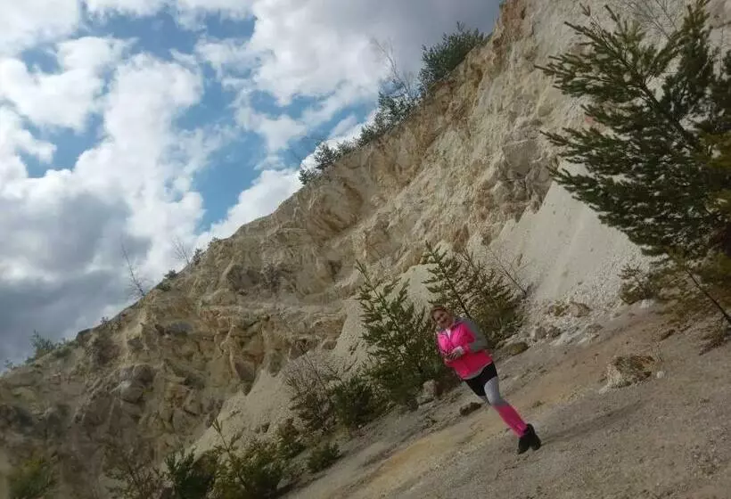 ペンション Retreat Sejour On Farmhouse ,roşia Montana, Acces Optional Hottube