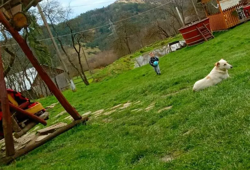ペンション Retreat Sejour On Farmhouse ,roşia Montana, Acces Optional Hottube