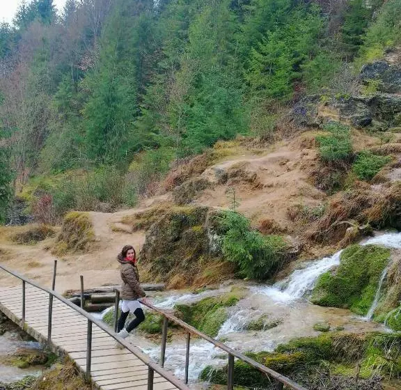 ペンション Retreat Sejour On Farmhouse ,roşia Montana, Acces Optional Hottube
