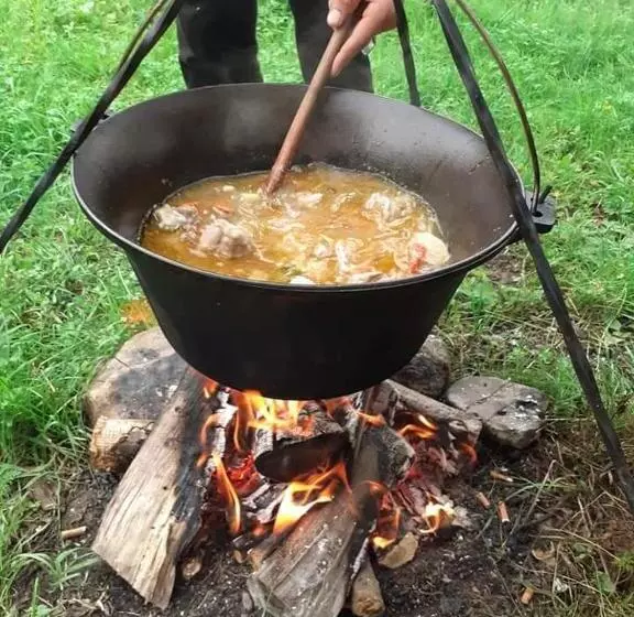 ペンション Retreat Sejour On Farmhouse ,roşia Montana, Acces Optional Hottube