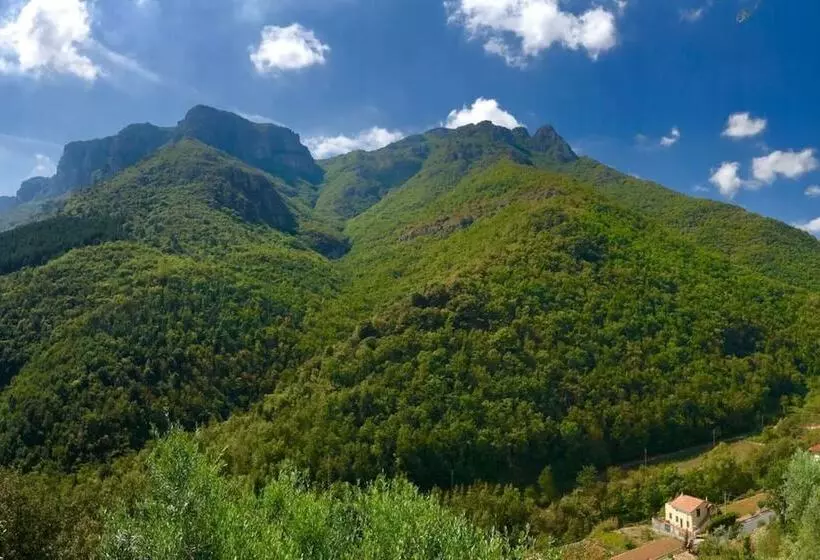 Residenssi Oliveto Medieval Setting