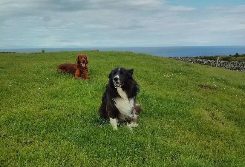 ベッドアンドブレックファースト Trean House