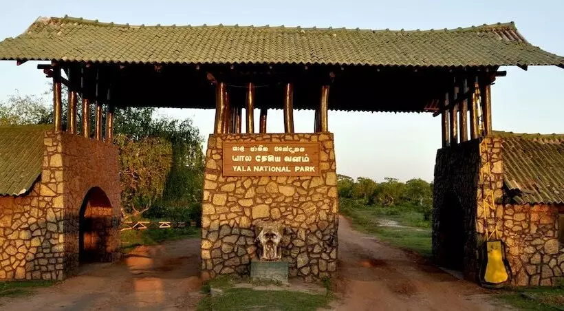 Otel Dev's Campground