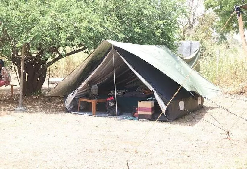 Otel Dev's Campground