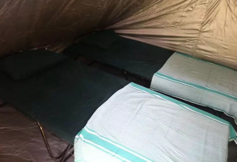 Otel Dev's Campground