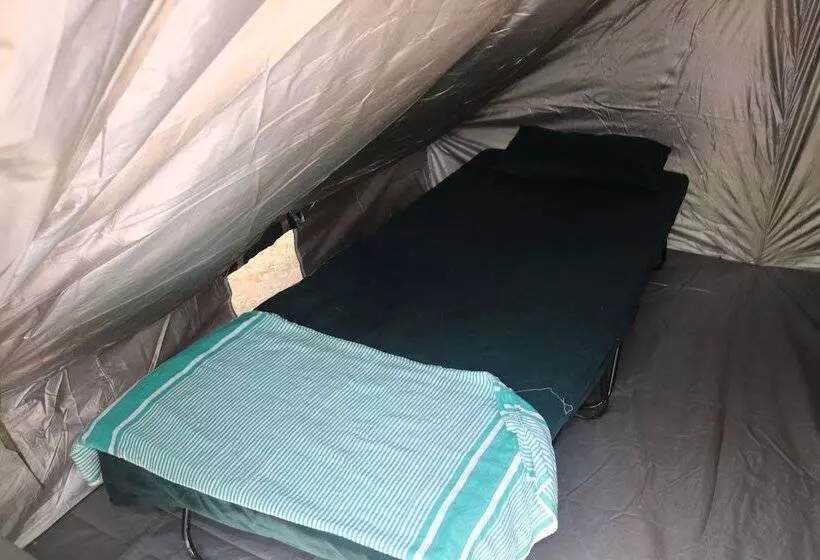 Otel Dev's Campground