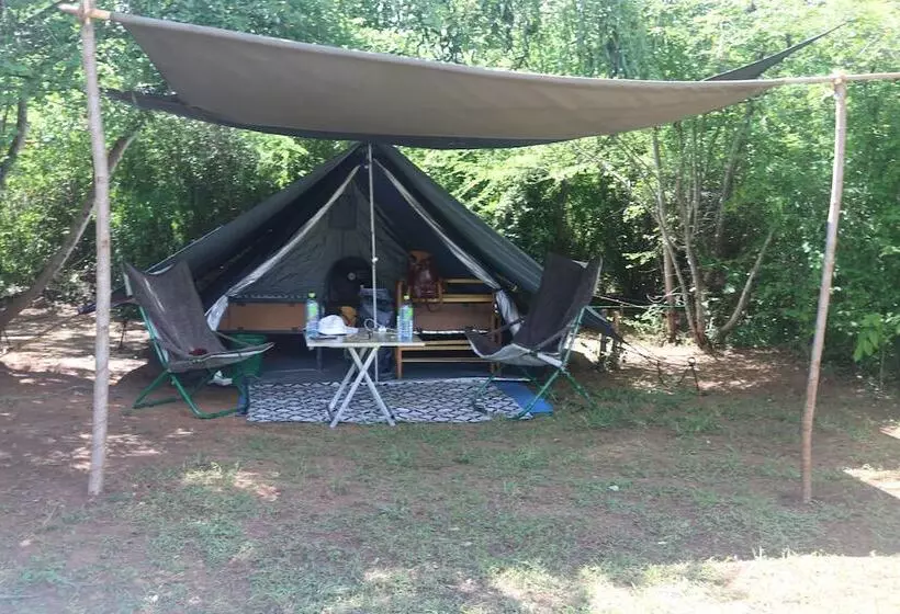 Otel Dev's Campground