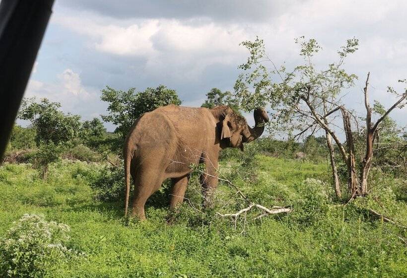 Hotel Dev's Campground