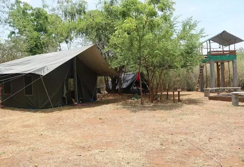 Otel Dev's Campground