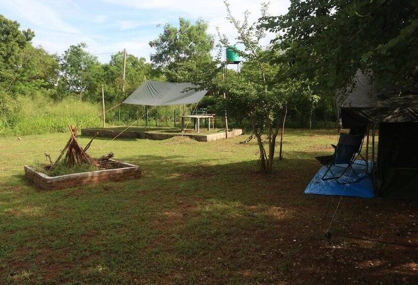 Hotel Dev's Campground