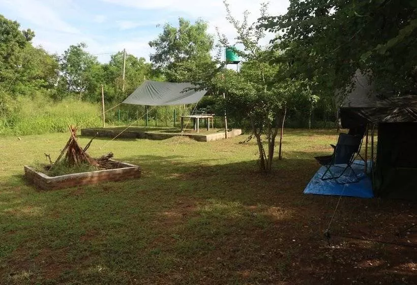 Otel Dev's Campground
