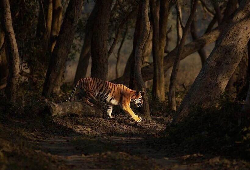 בית מלון כפרי Jaagir Manor, Dudhwa   Ihcl Seleqtions