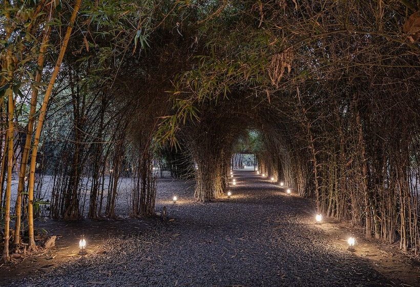 בית מלון כפרי Jaagir Manor, Dudhwa   Ihcl Seleqtions