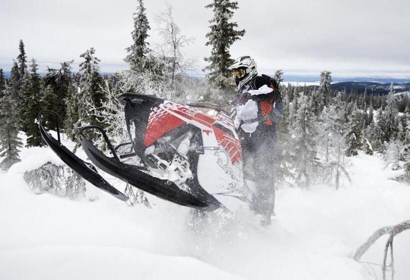 Hotelli L Silverhatten