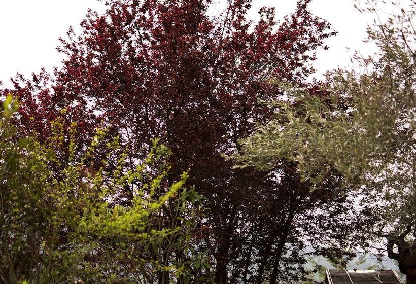 Vidéki Szálló Al Regio Tratturo