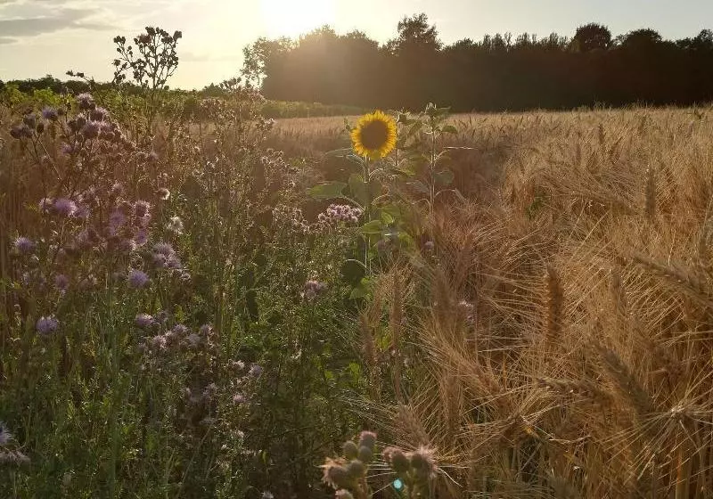 ペンション A Travers Chants B&b