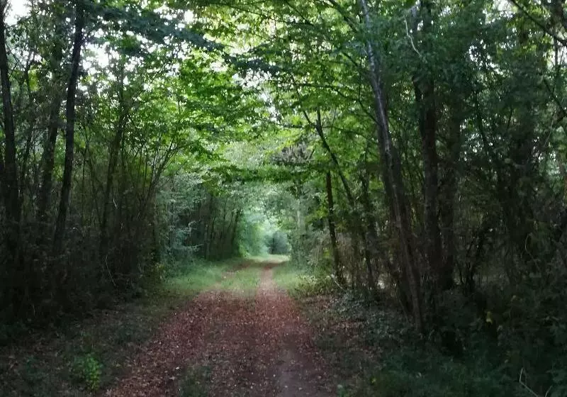 ペンション A Travers Chants B&b