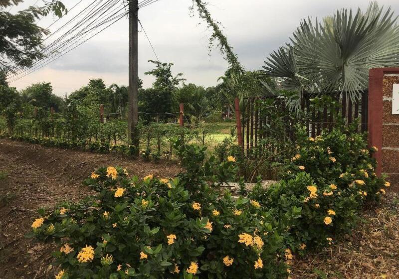 Пансион Baan Suan View Dee Homestay