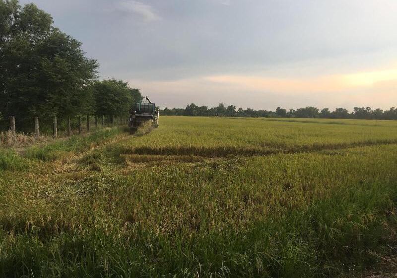 Пансион Baan Suan View Dee Homestay