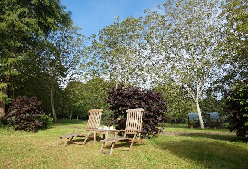 פנסיון Chateau De Hieville