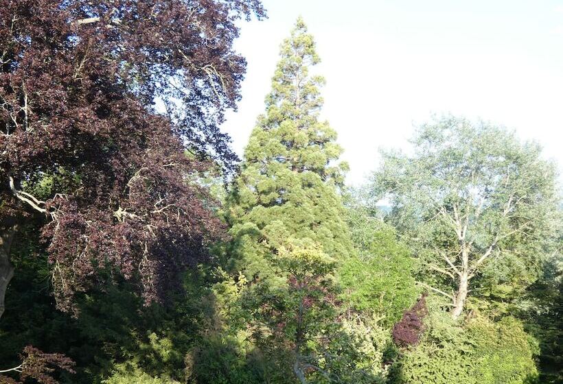 פנסיון Chateau De Hieville