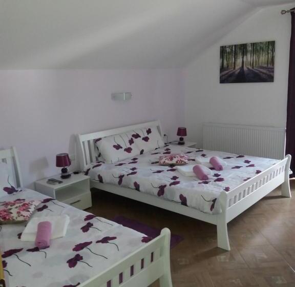 פנסיון Guest House Mačić