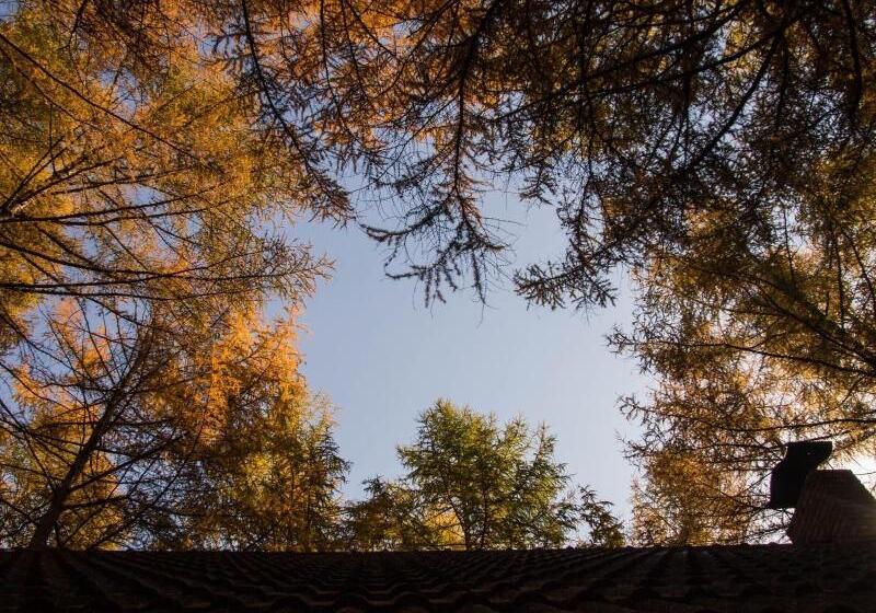 بنسيون Guesthouse Canterbury