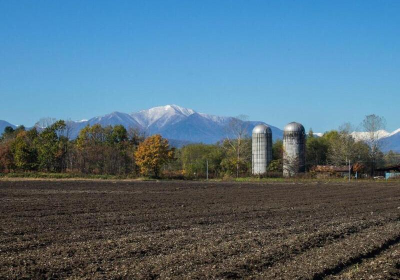بنسيون Guesthouse Canterbury