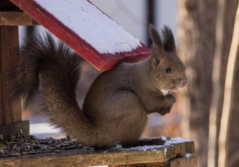 بنسيون Guesthouse Canterbury
