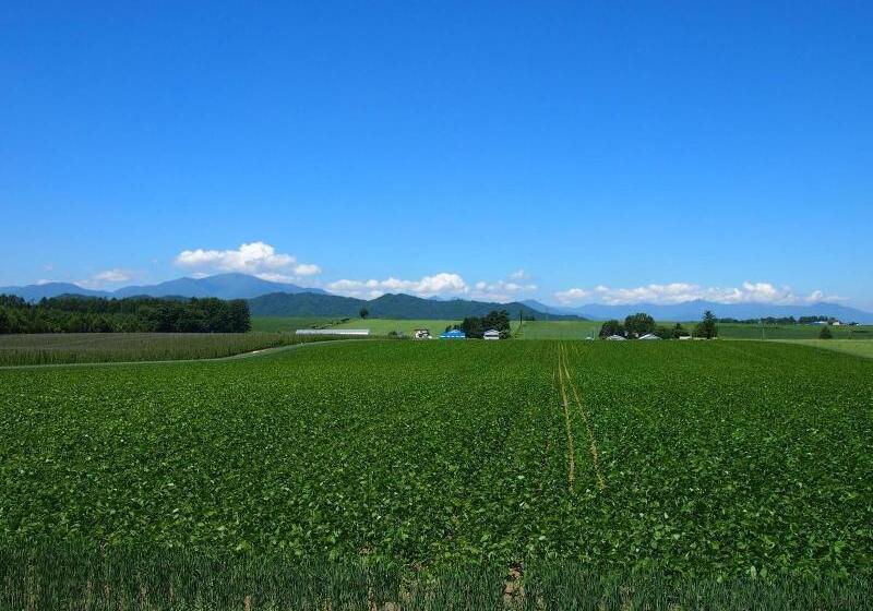 بنسيون Guesthouse Canterbury