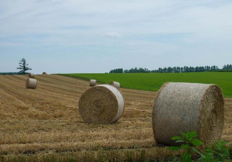 بنسيون Guesthouse Canterbury