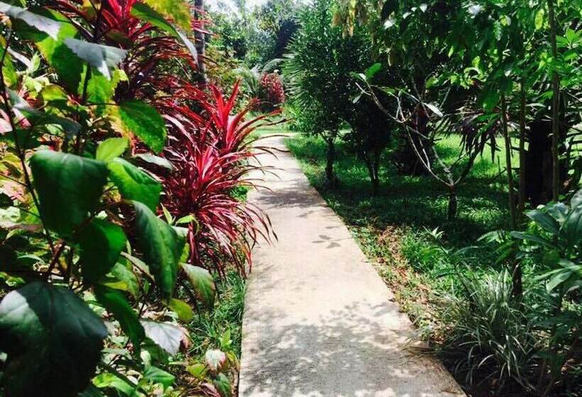 Пансион Khao Sok Green Mountain View