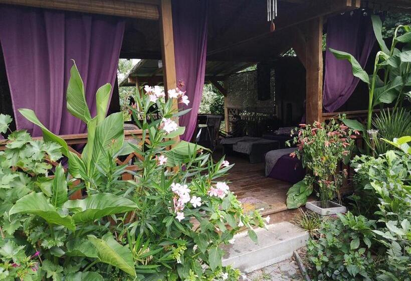 Пансион O'claire