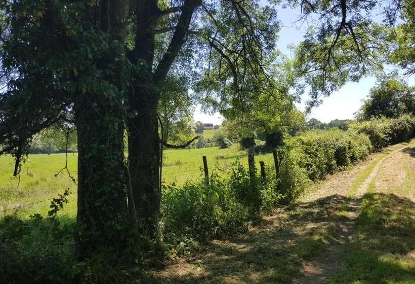 Bed and Breakfast La Vieille Gorce