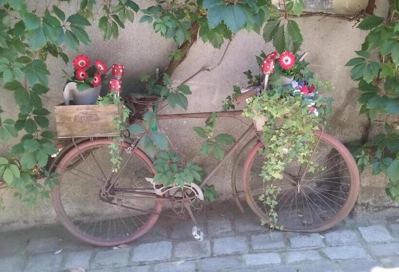 Bed and Breakfast La Vieille Gorce