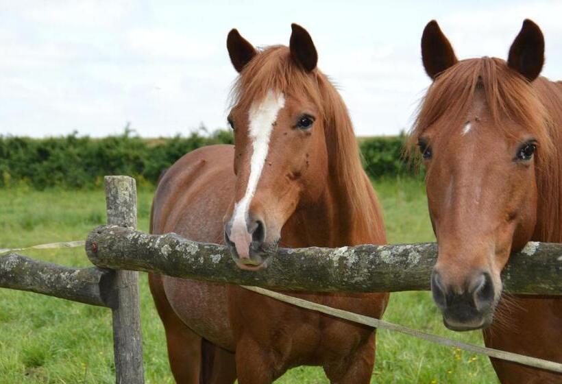 Bed and Breakfast La Vieille Gorce