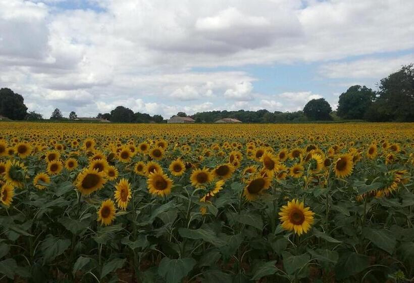 Bed and Breakfast La Vieille Gorce