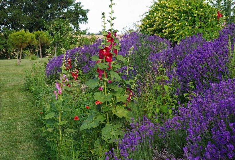 Bed and Breakfast Le Hameau Des Coquelicots