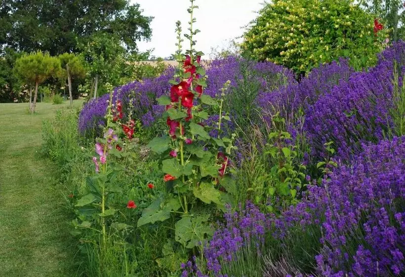 ベッドアンドブレックファースト Le Hameau Des Coquelicots