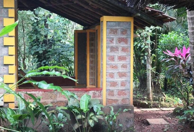 Dudhsagar Plantation