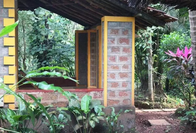 Dudhsagar Plantation