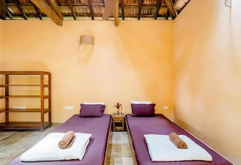 Dudhsagar Plantation