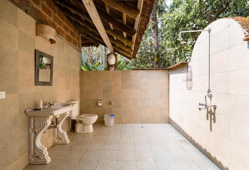 Dudhsagar Plantation