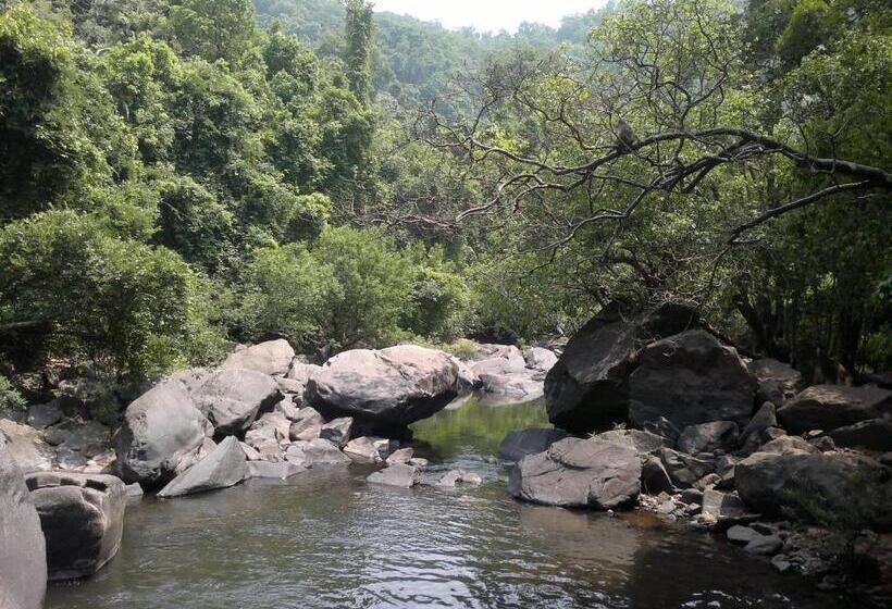 Dudhsagar Plantation